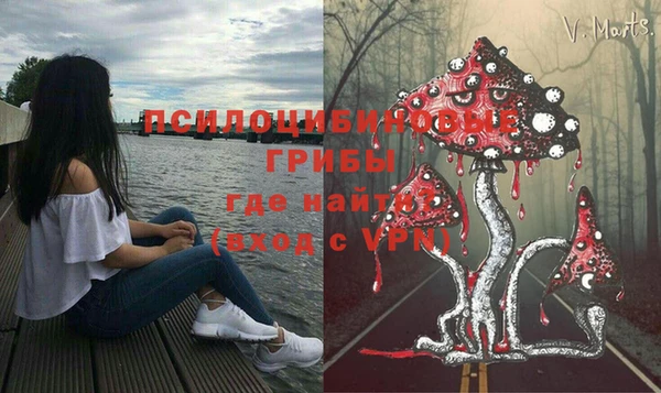 дмт Балахна