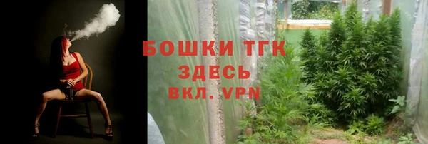 прущие грибы Чекалин
