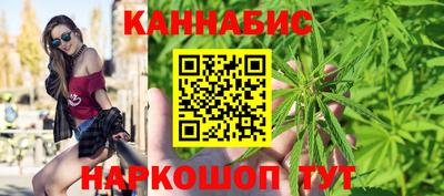 МДПВ Волгодонск