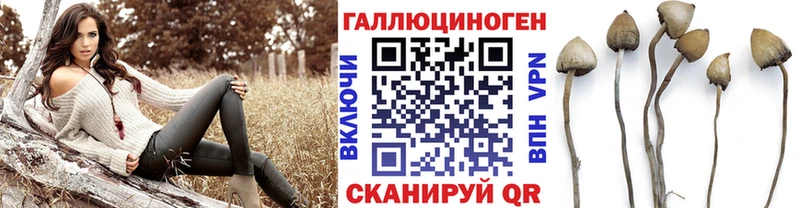 Псилоцибиновые грибы Magic Shrooms  Печора 