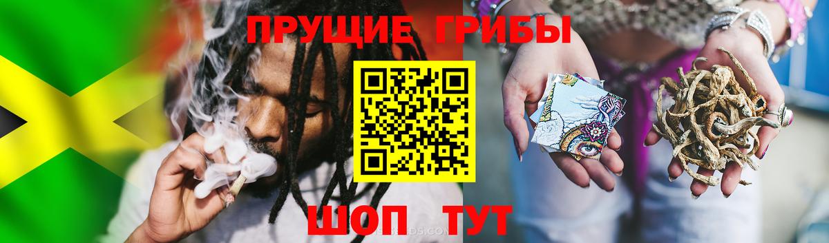 Печора  Галлюциногенные грибы Magic Shrooms  Вход с VPN 